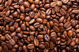 how many types of coffee beans are there