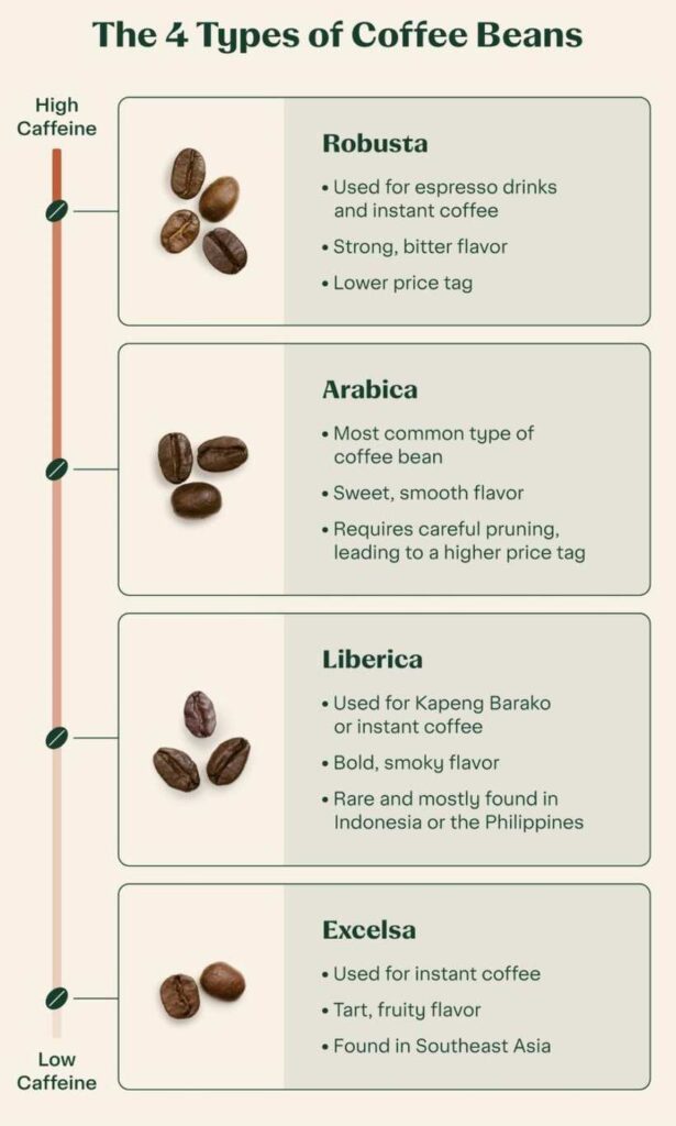 how many types of coffee beans are there