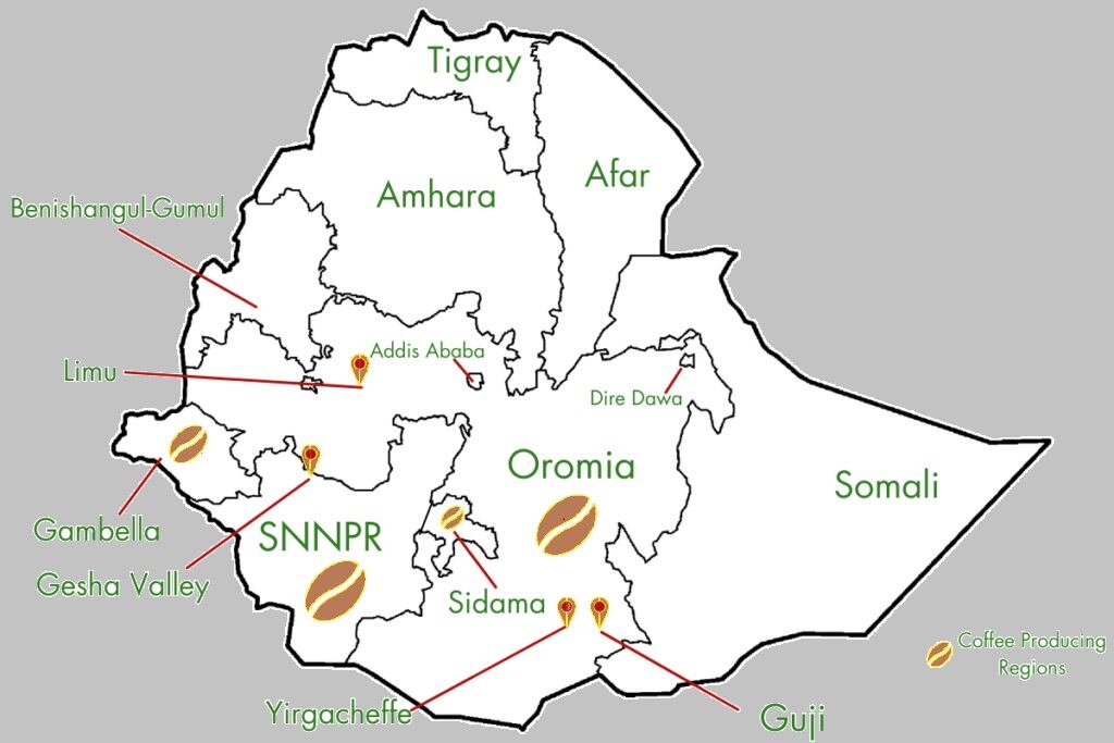 Ethiopia coffee growing regions